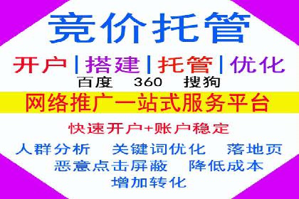 百度广告投放策略优化及成功案例解析